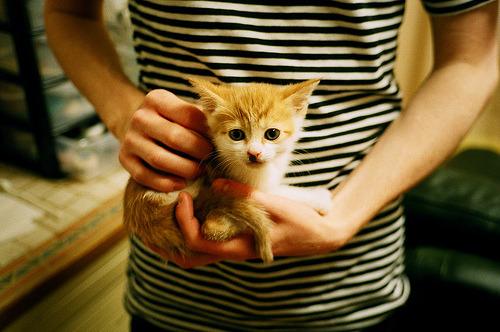 寻2007年及2007年以前的美国经典大片名单列表?